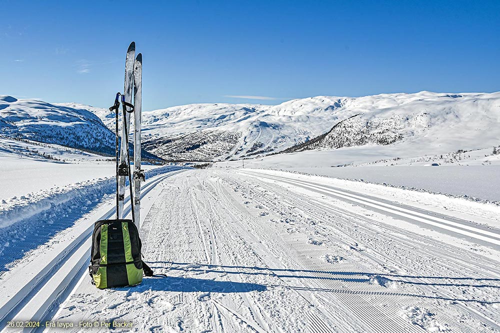 Kvanndalen