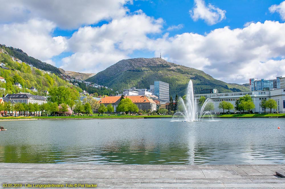 Lungegårdsvann i Austerrike
