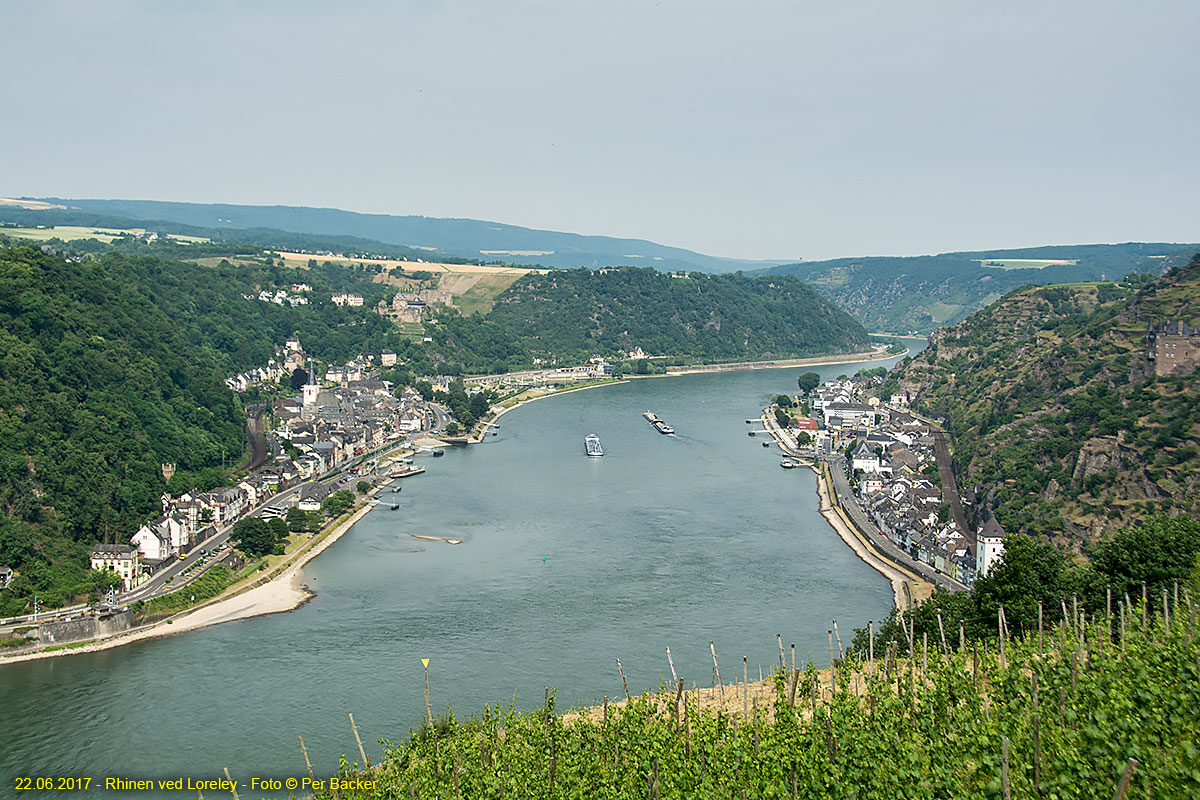 Rhinen ved Loreley