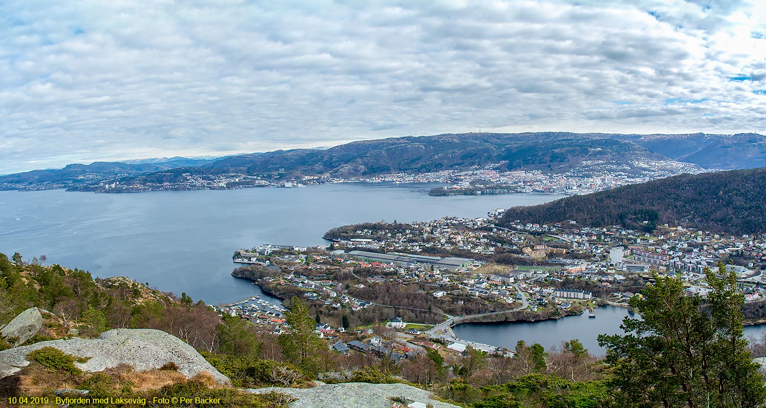 Byfjorden med Laksevåg