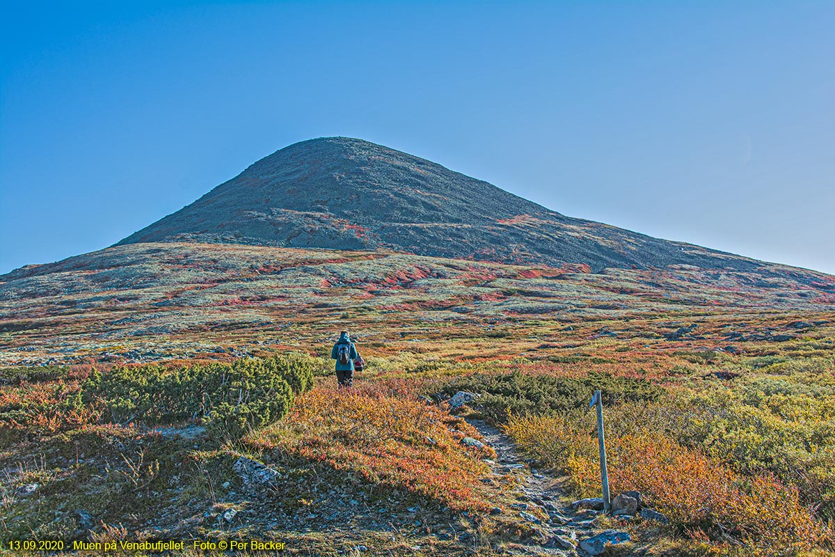 Muen - fjelltopp på Venabygdfjellet