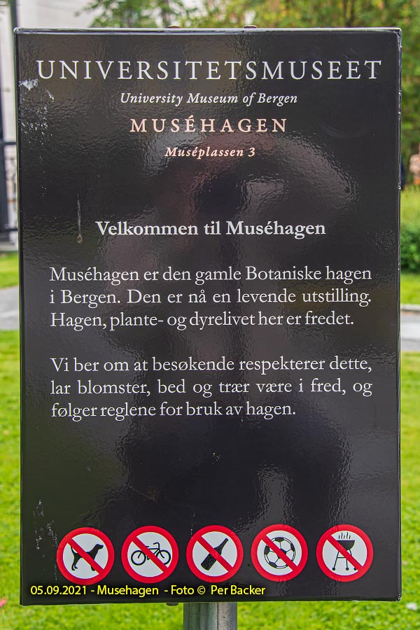 Musehagen