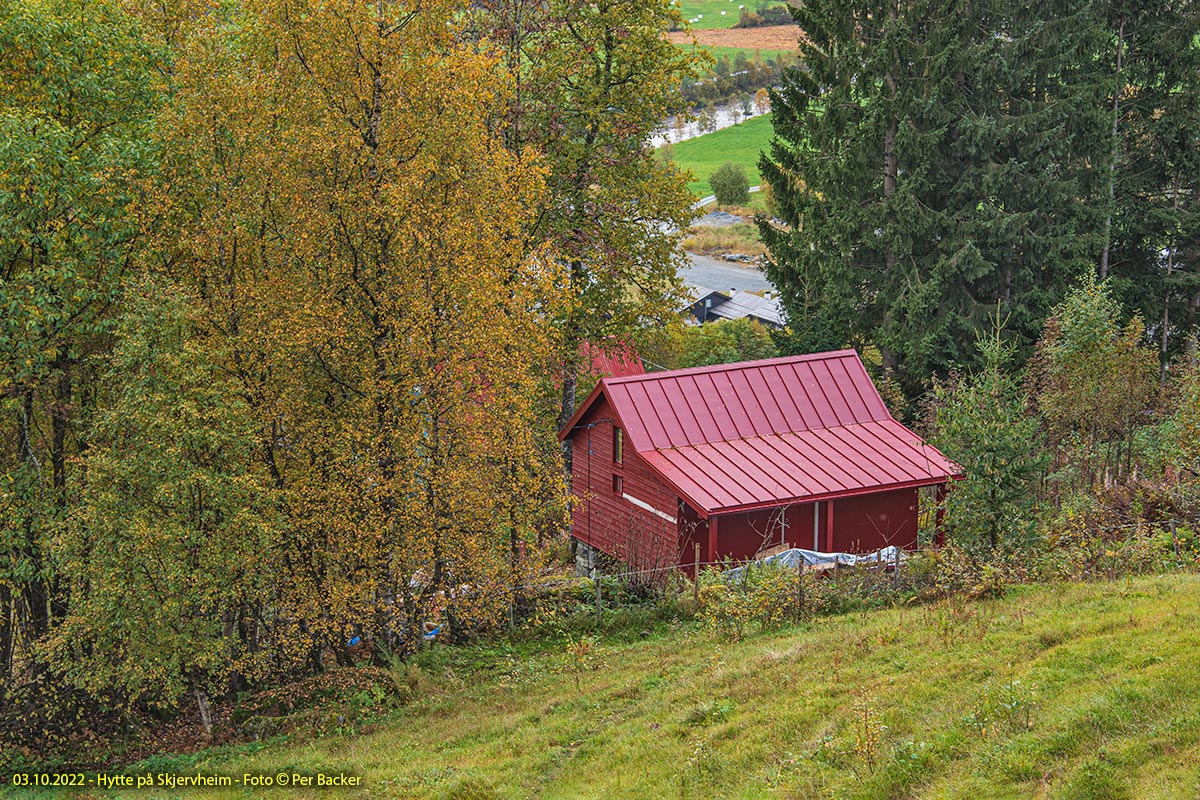 Hytte på Skjervheim