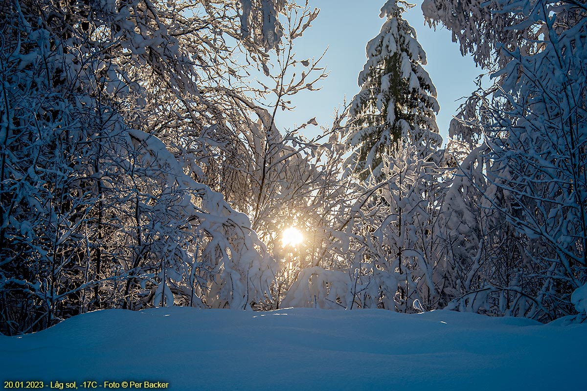 Låg sol