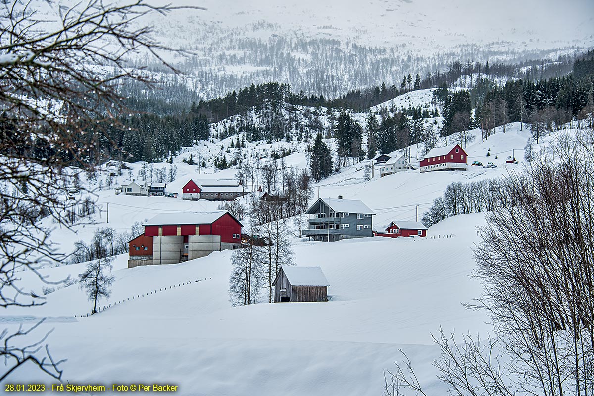 Frå Skjervheim