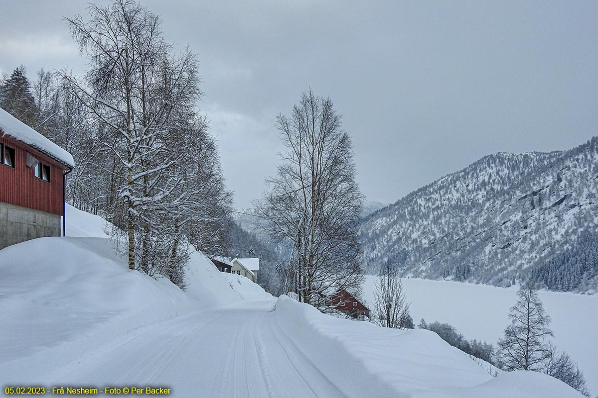 Frå Nesheim