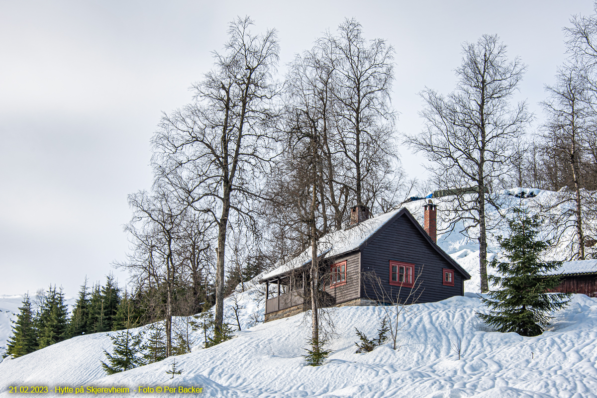 Hytte på Skjervheim