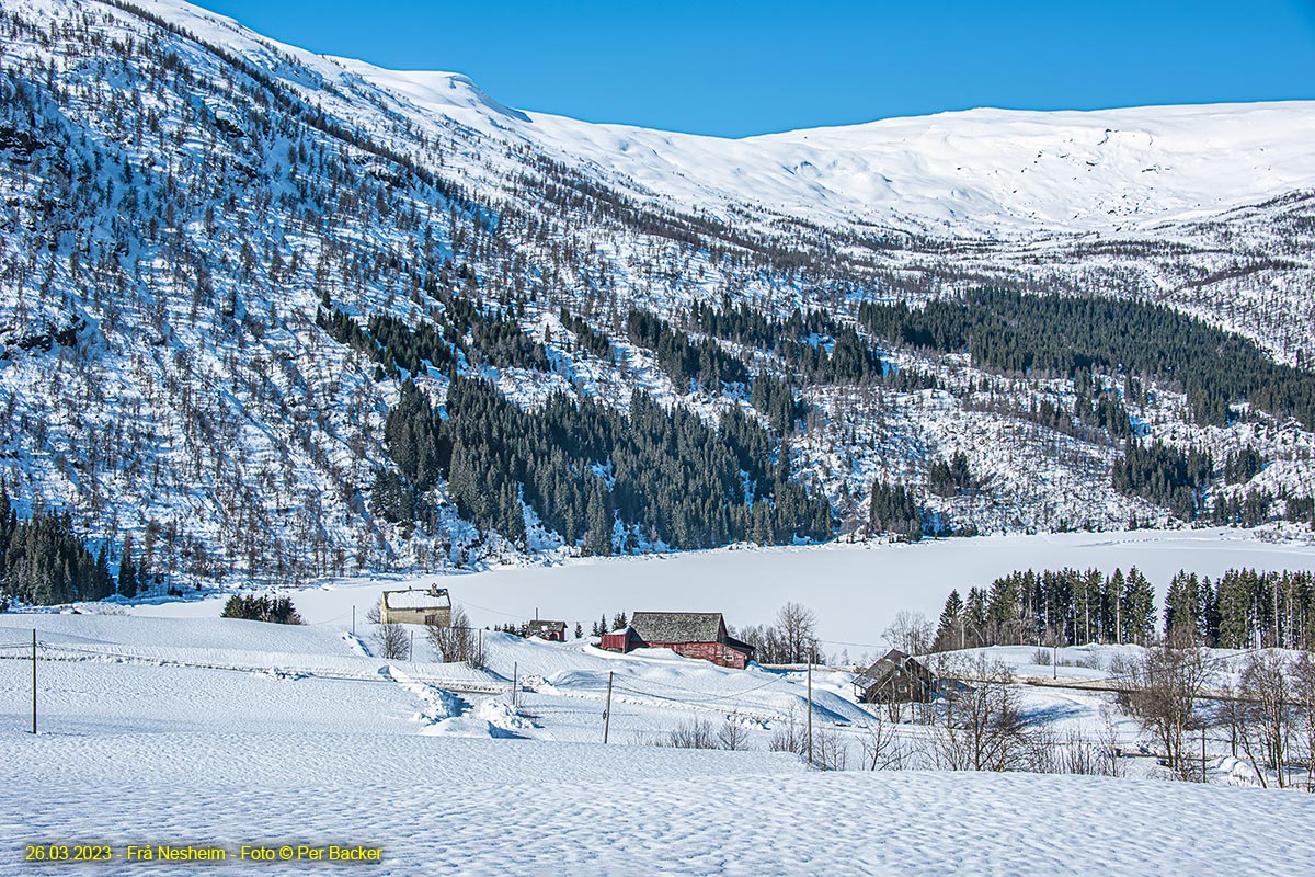 Frå Nesheim