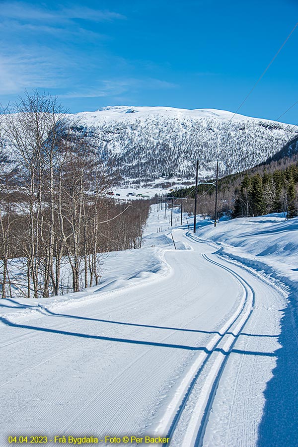 Frå Bygdalia