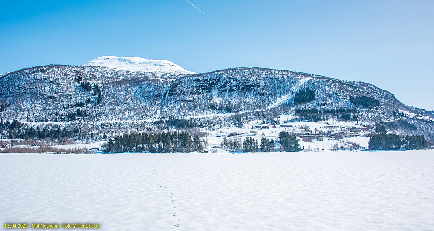 Frå Nesheim