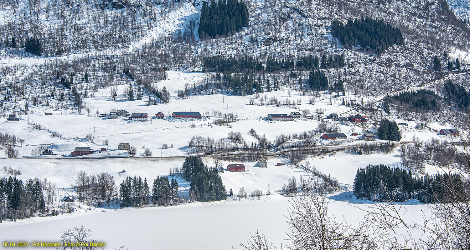 Frå Nesheim