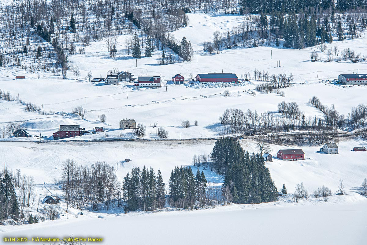 Frå Nesheim