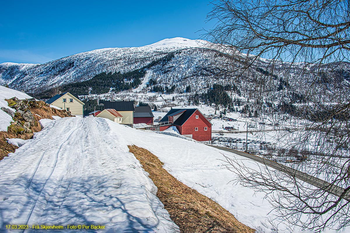 Frå Skjervheim