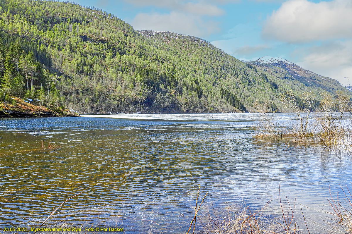 Myrkdalsvatnet ved Øyni