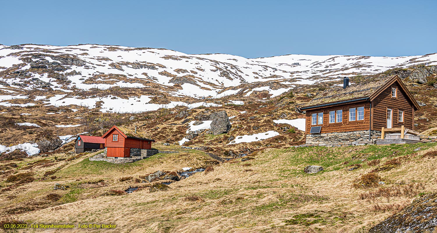 Frå Skjervheimstølen