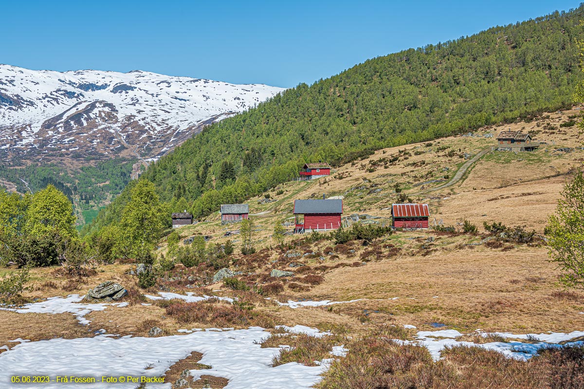 Frå Fossen