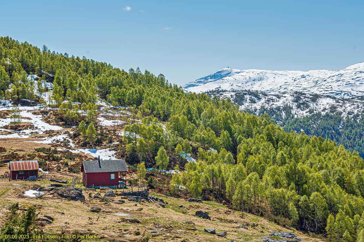 Frå Fossen