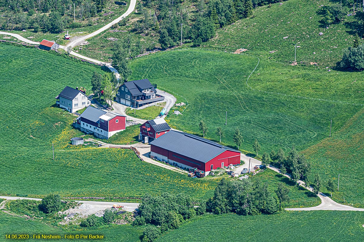 Frå Nesheim