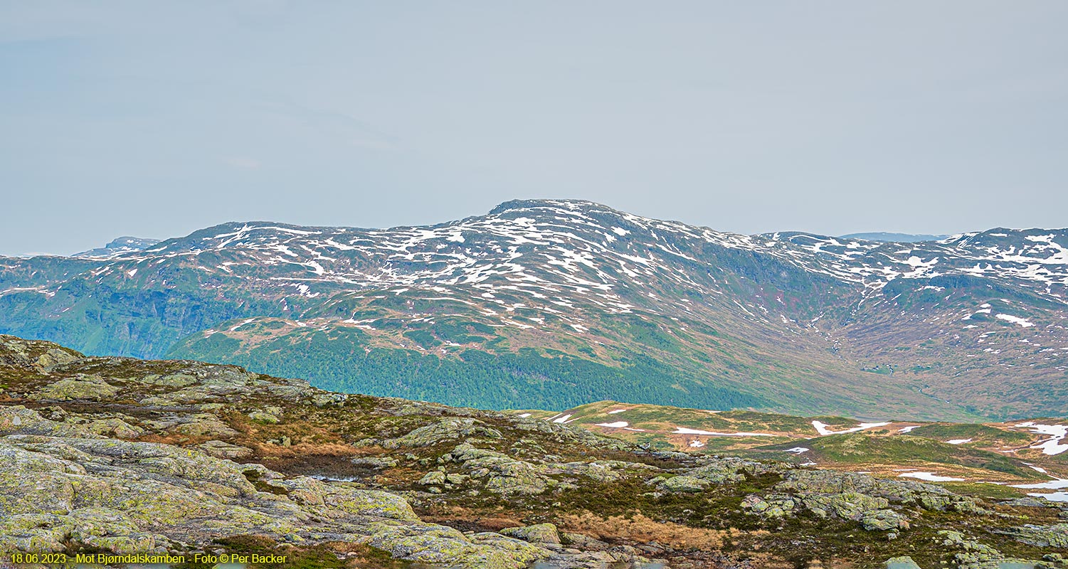 Mot Bjørndalskamben