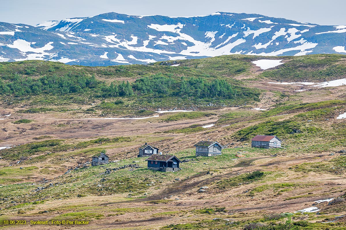 Frå Svoleset