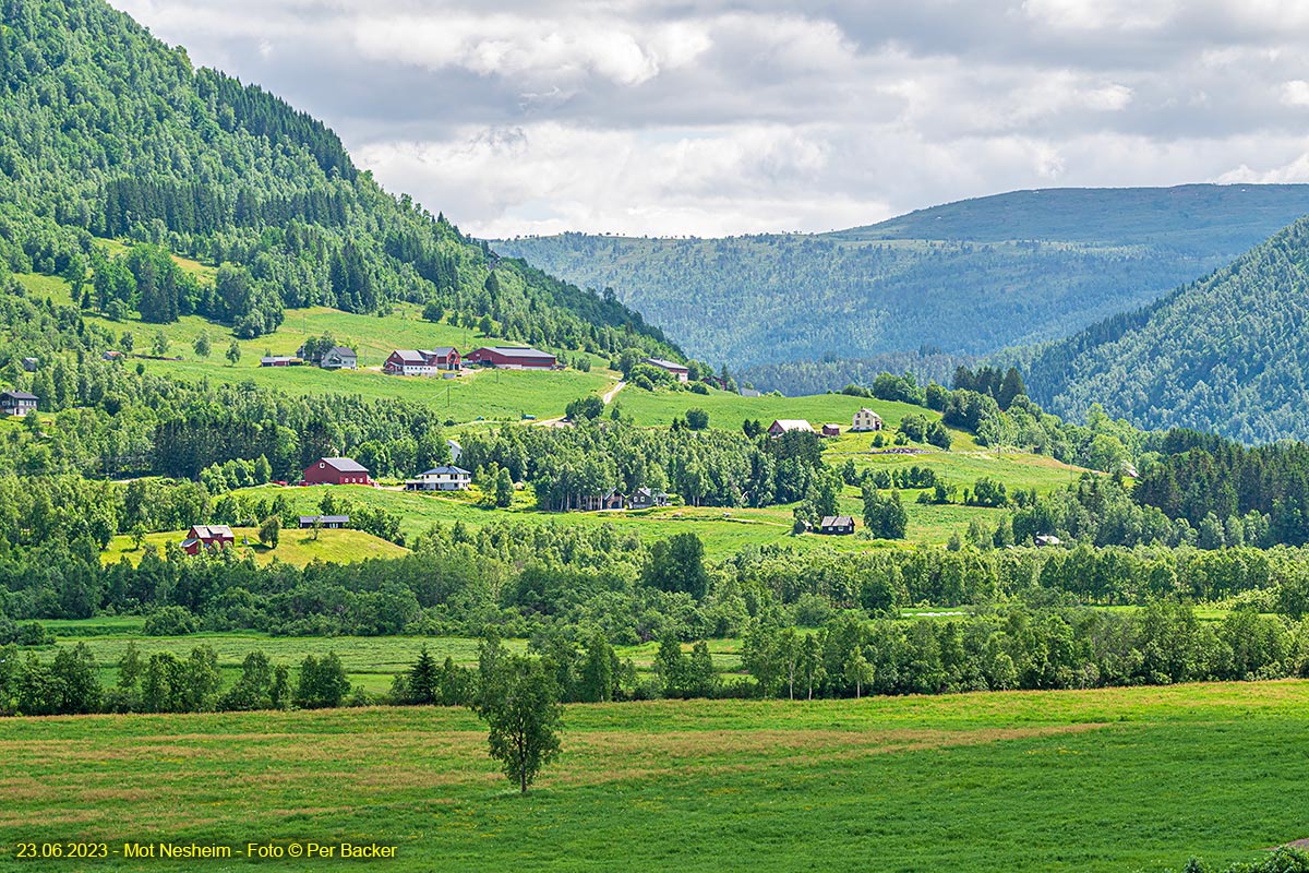 Frå Nesheim