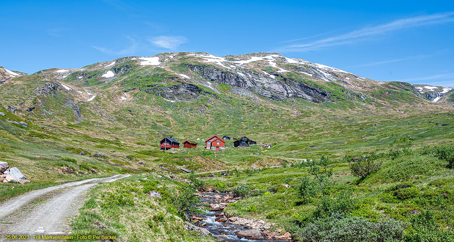 Frå Mørkvesstølen