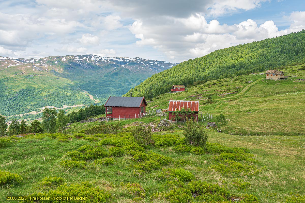 Frå Fossen