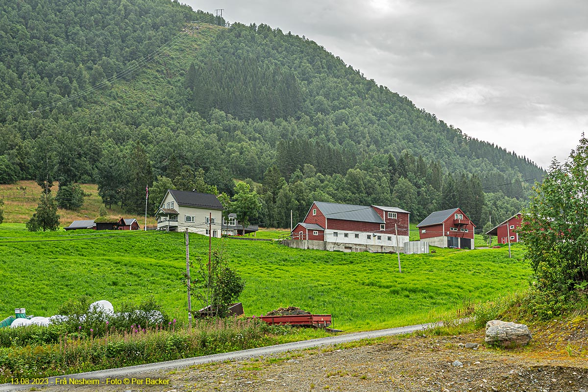 Frå Nesheim