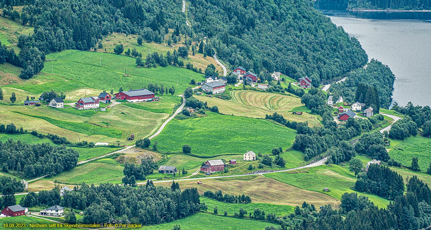 Nesheim sett frå Skjervheimsstølen