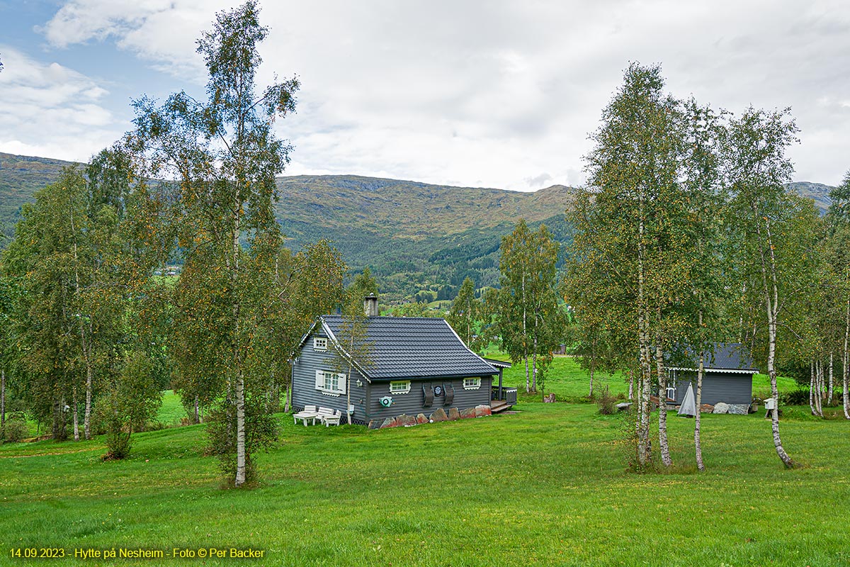 Hytte på Nesheim