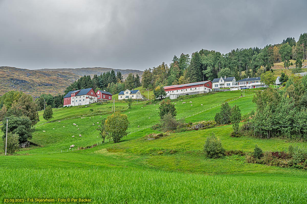 Frå Skjervheim