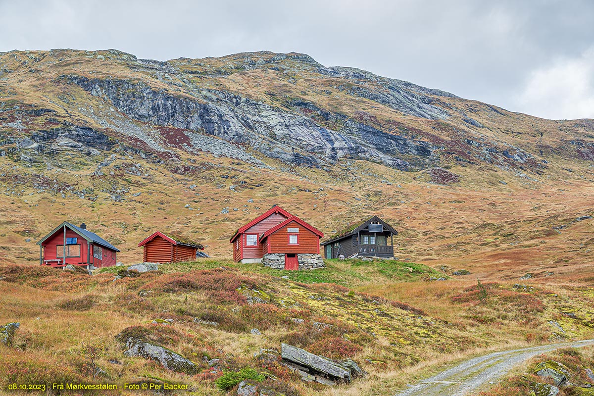 Frå Mørkvesstølen