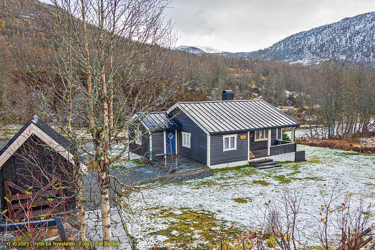 Hytte på Nyestølen