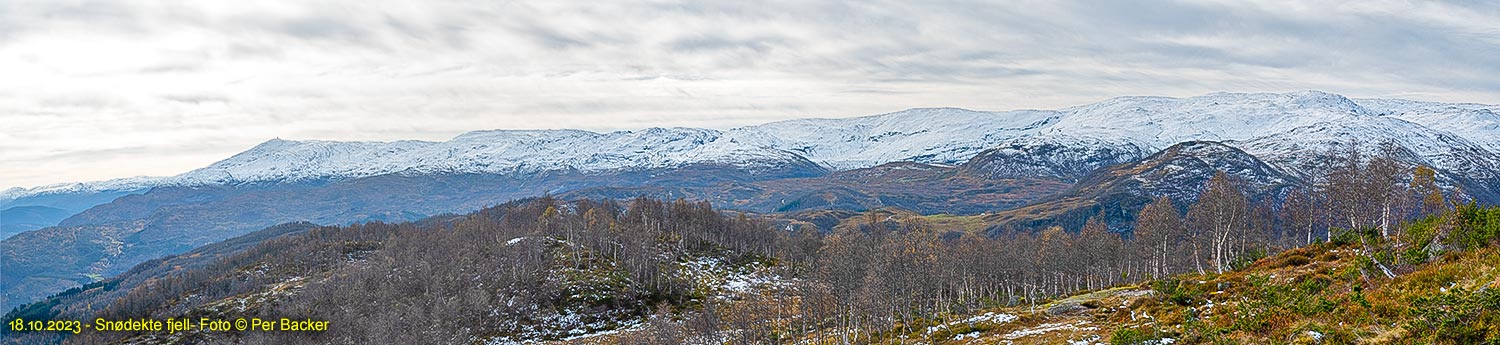 Snødekte fjell