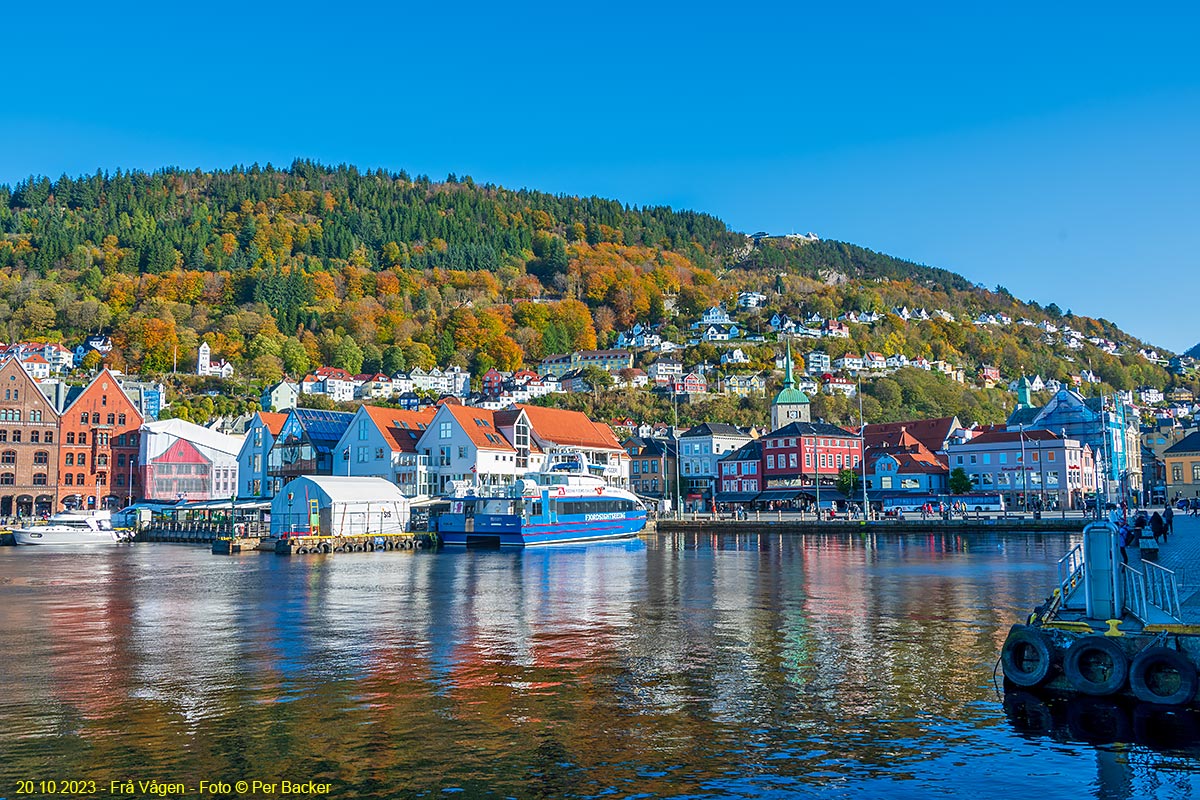 Vågen i Bergen