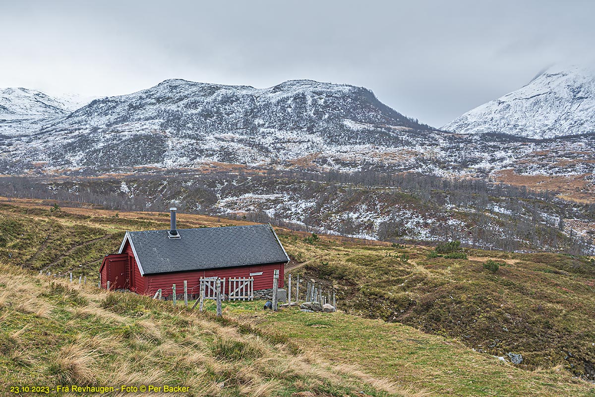 Frå Revhaugen