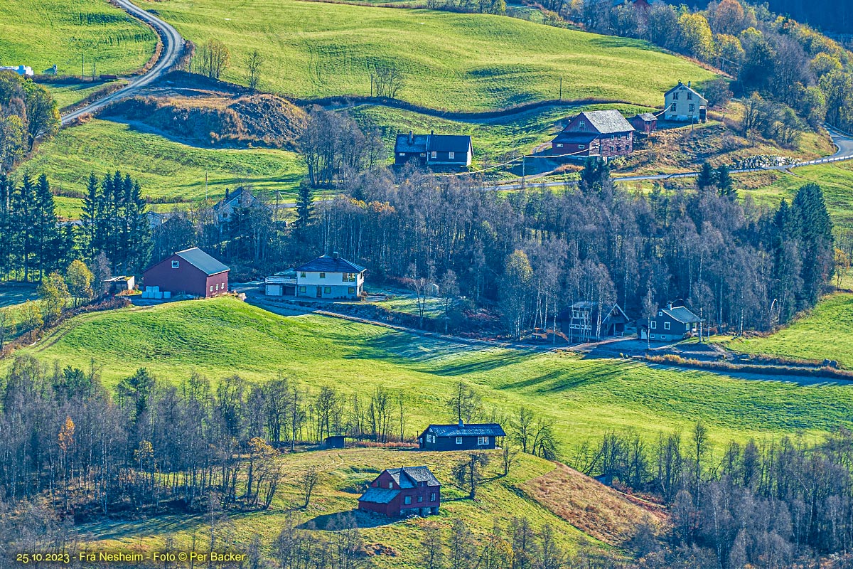 Frå Nesheim