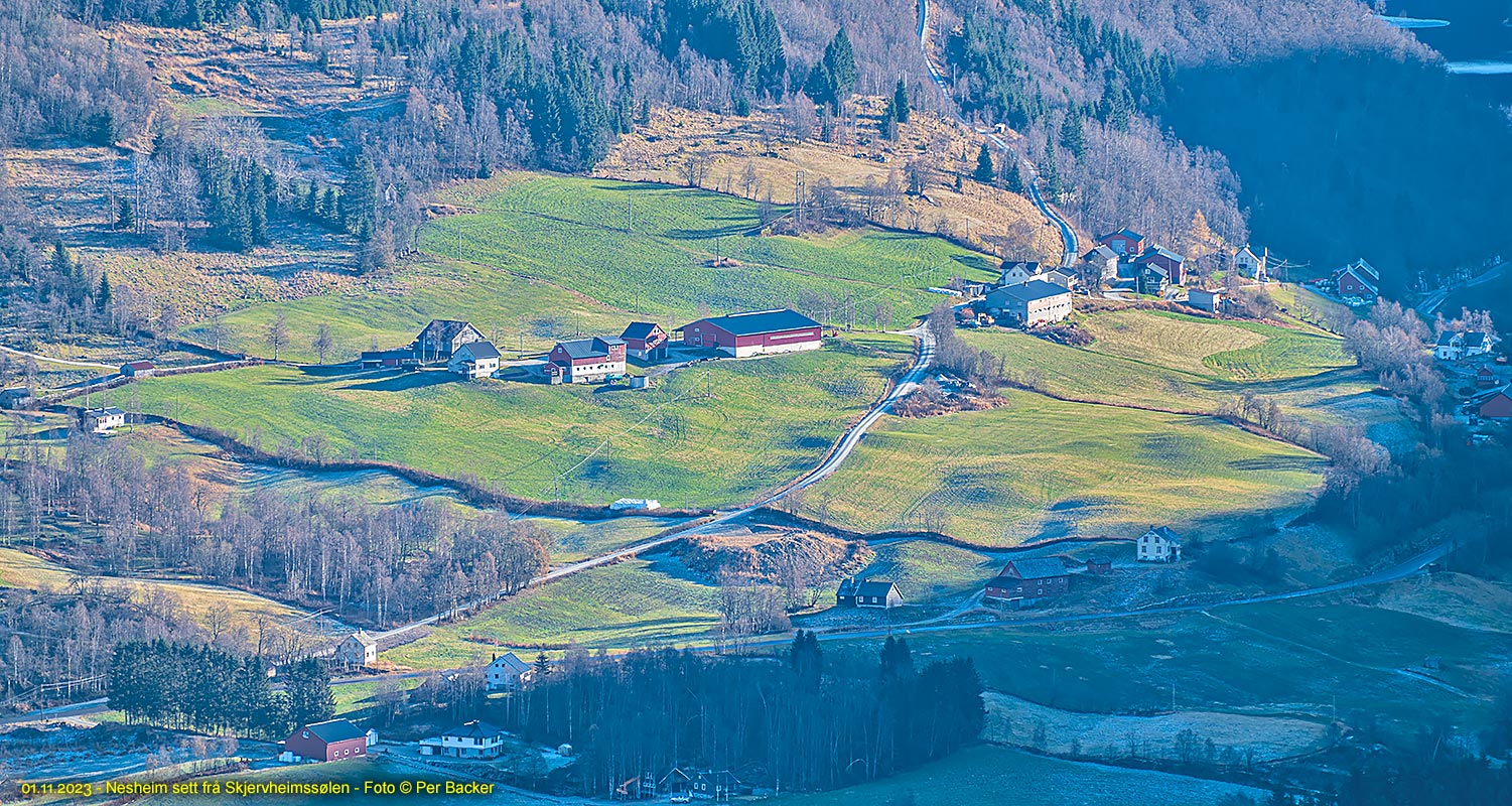 Nesheim sett frå Skjervheimsstølen