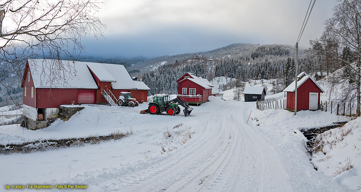 Frå Skjervheim