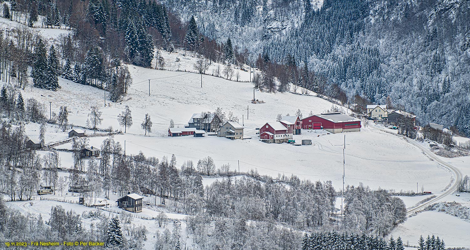 Frå Nesheim