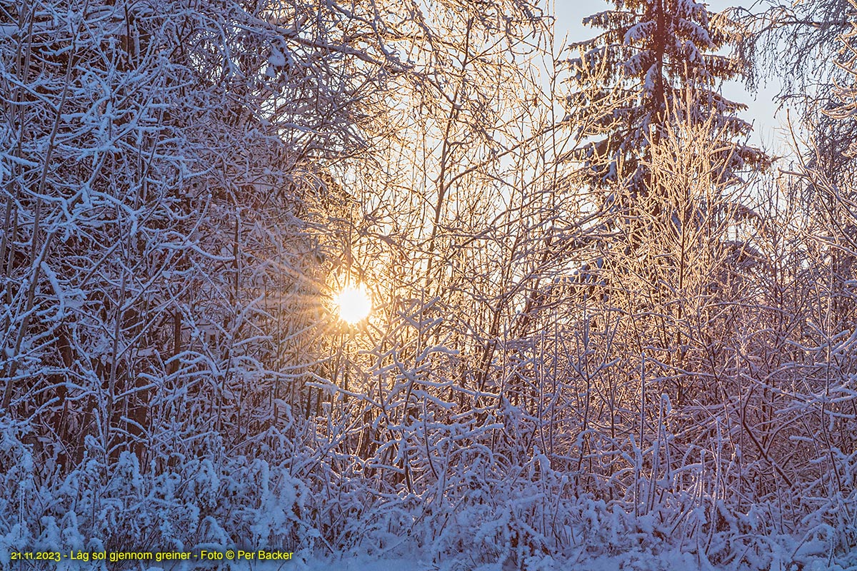 Låg sol