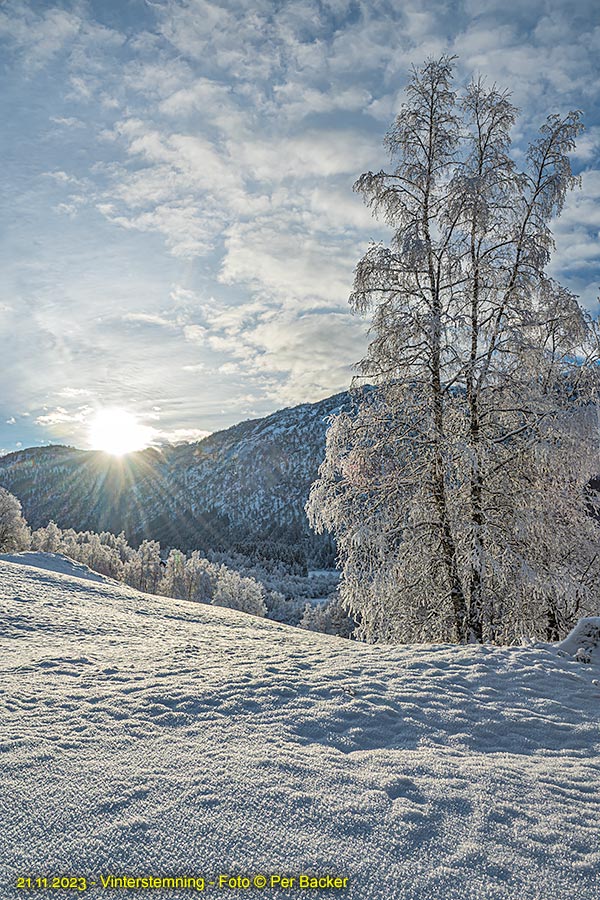 Vinterstemning