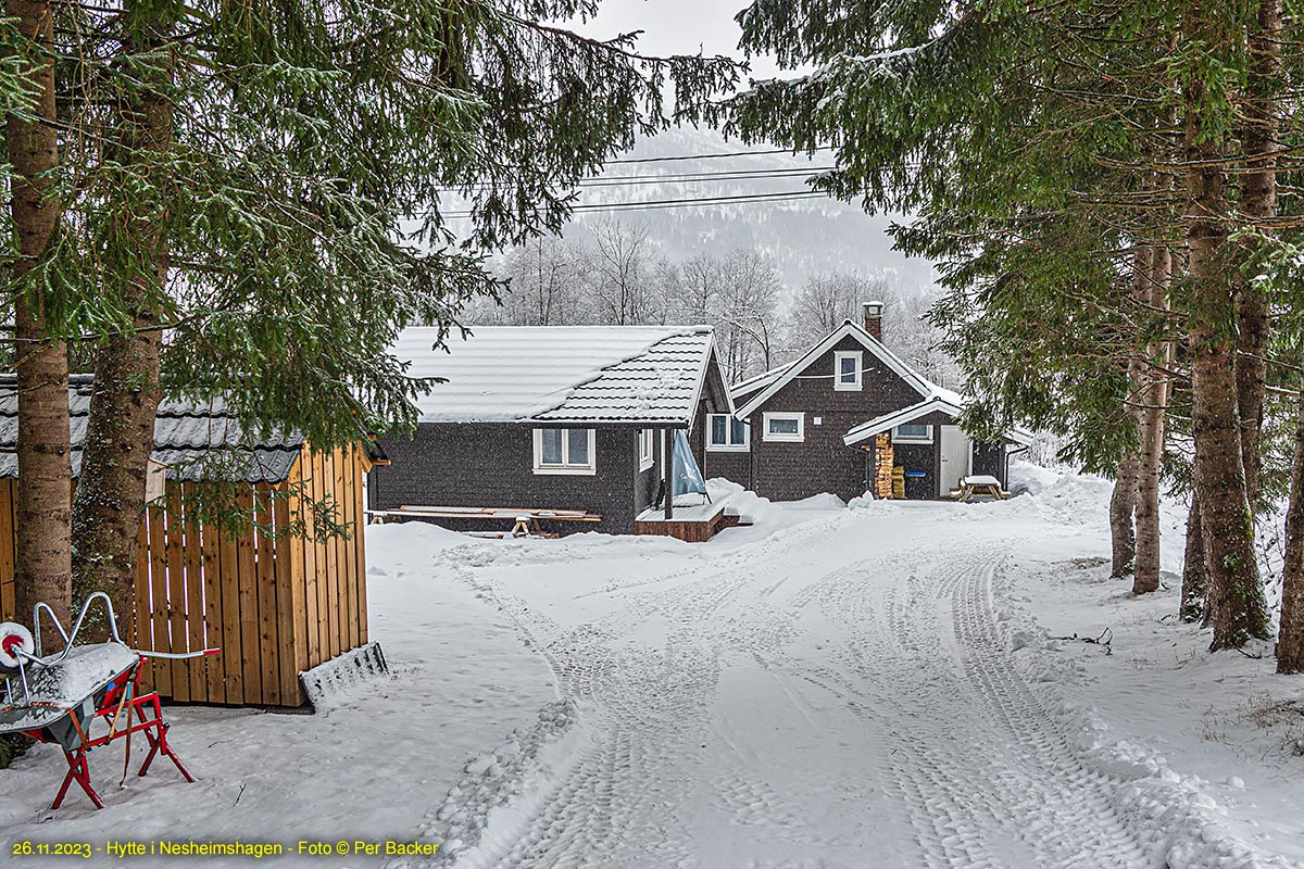 Hytte i Nesheimshagen