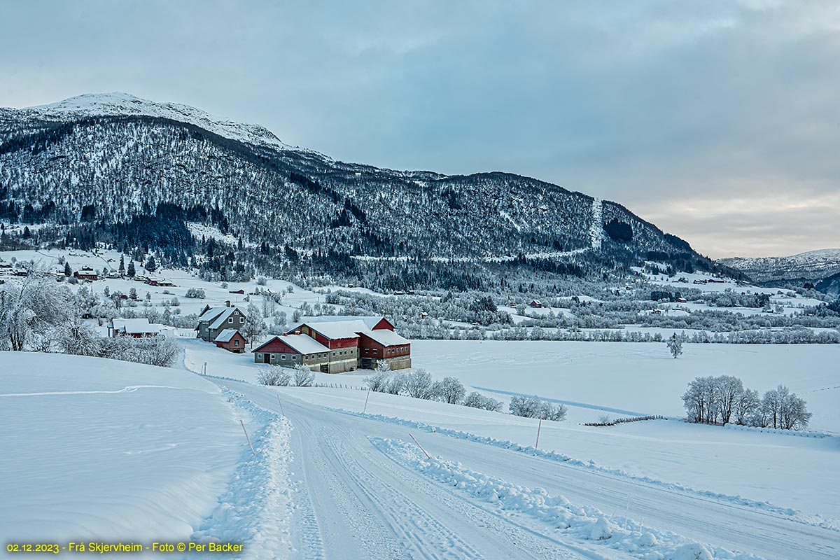 Frå Skjerveim