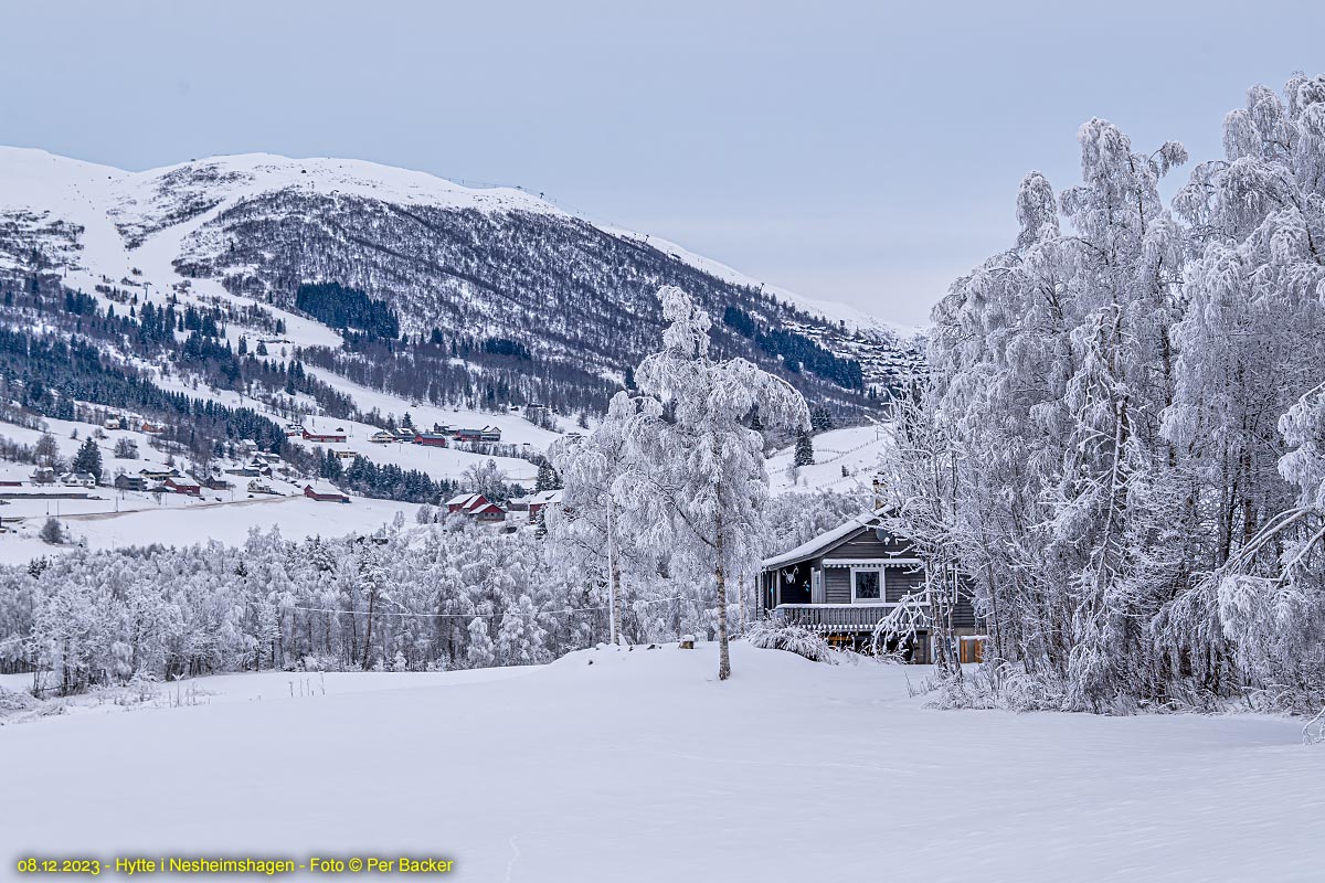 Hytte i Nesheimshagen