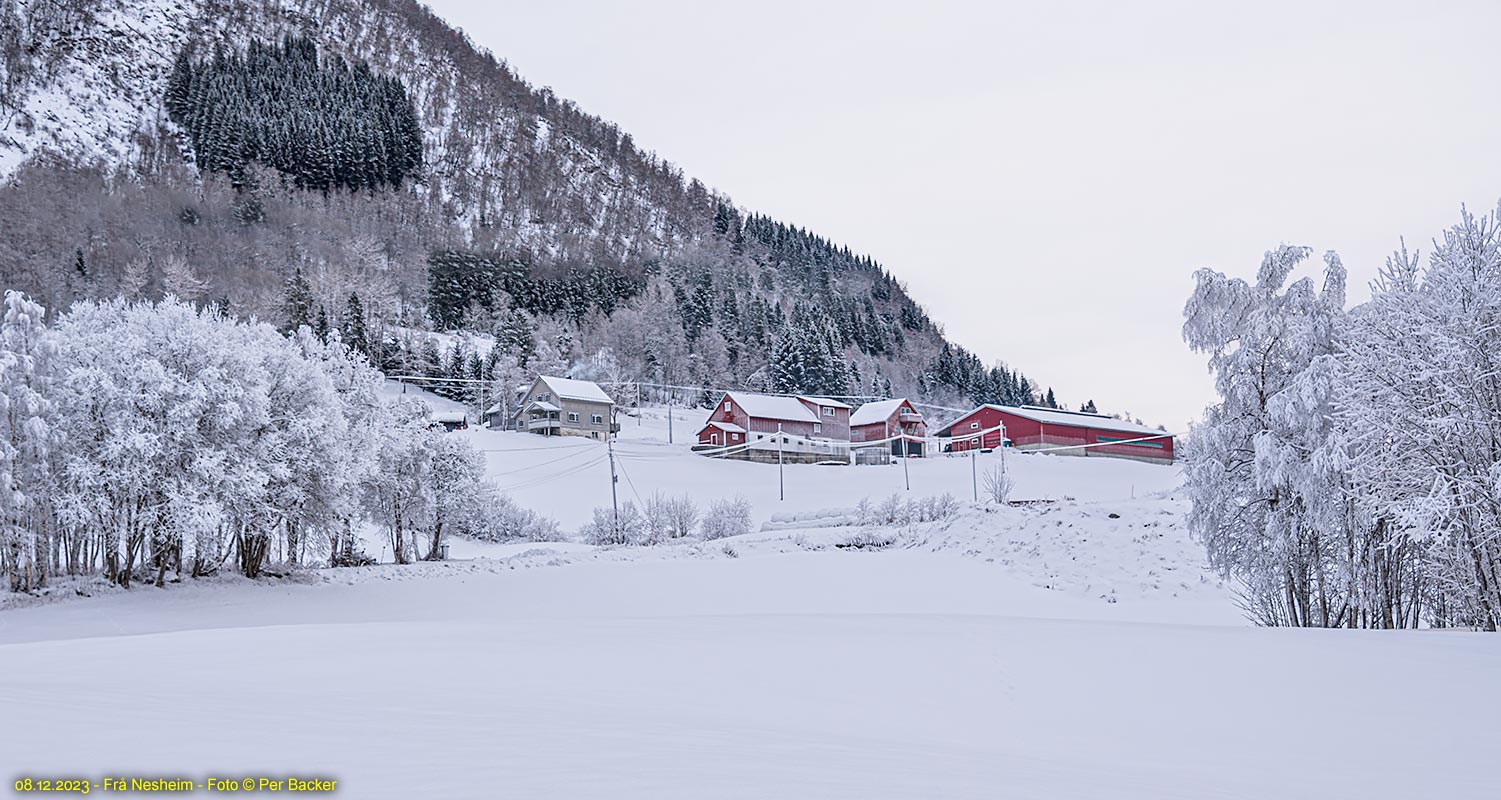 Frå Nesheim