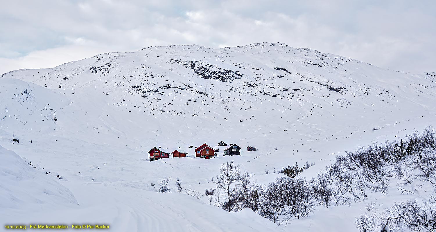 Frå Mørkvesstølen