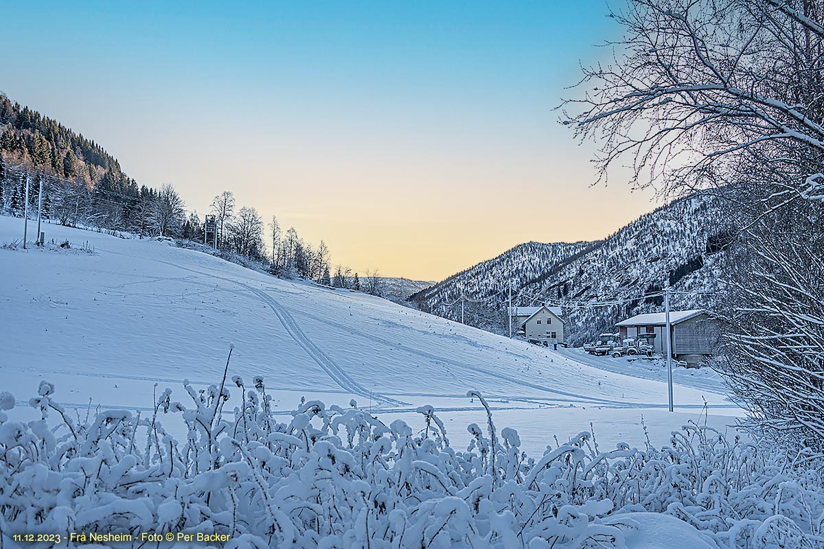 Frå Nesheim