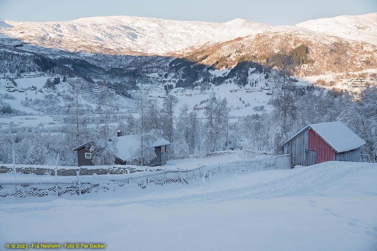 Frå Nesheim