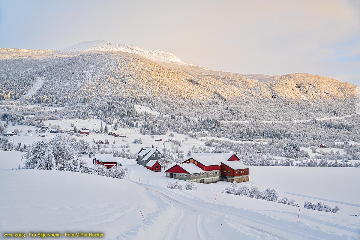 Frå Skjervheim